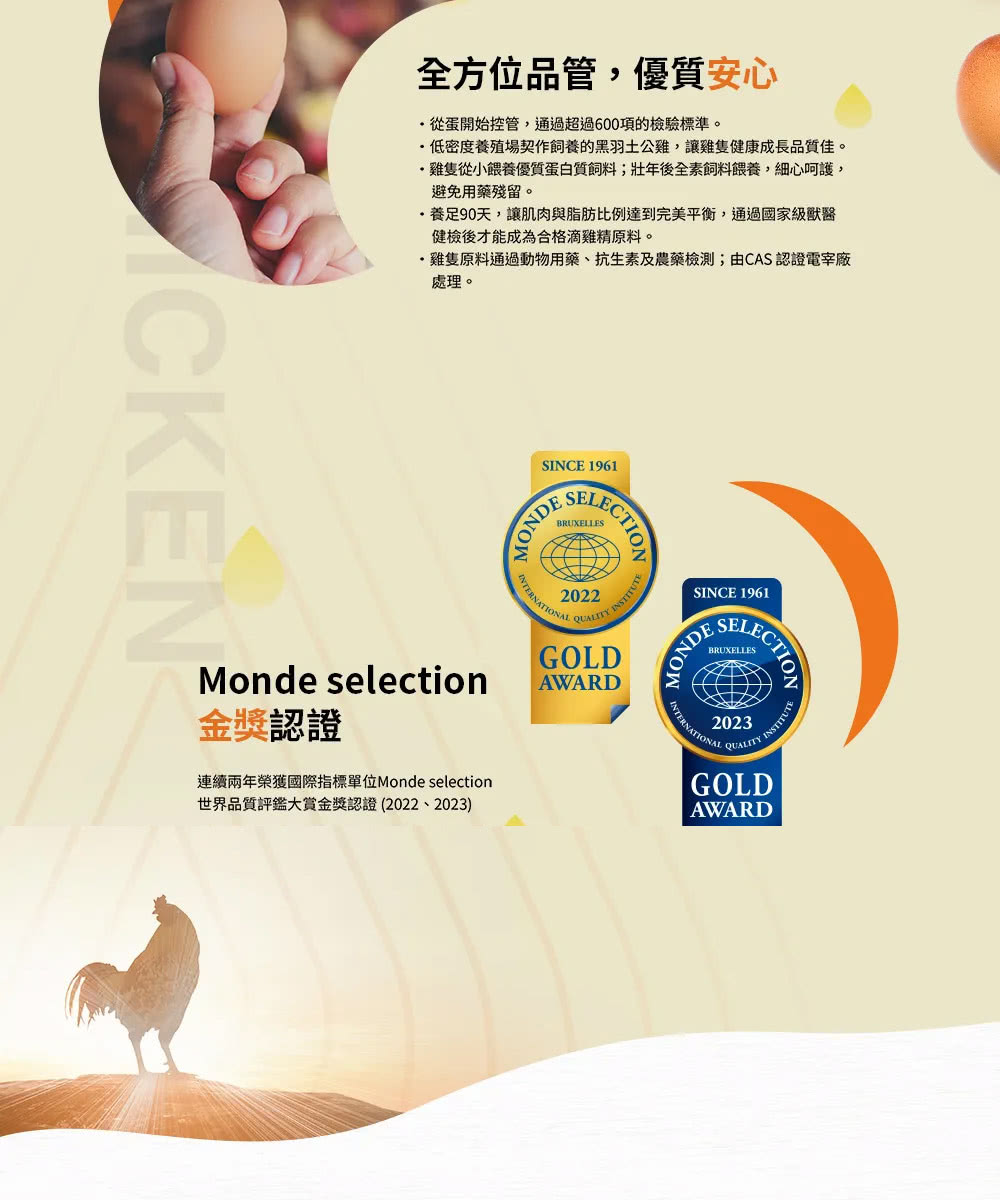 低密度養殖場契作飼養的黑羽土公雞,讓雞隻健康成長品質佳。