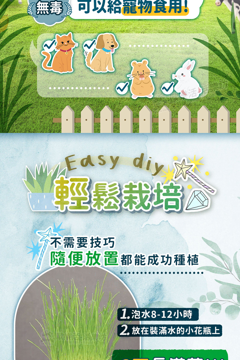 2. 放在裝滿水的小花瓶上