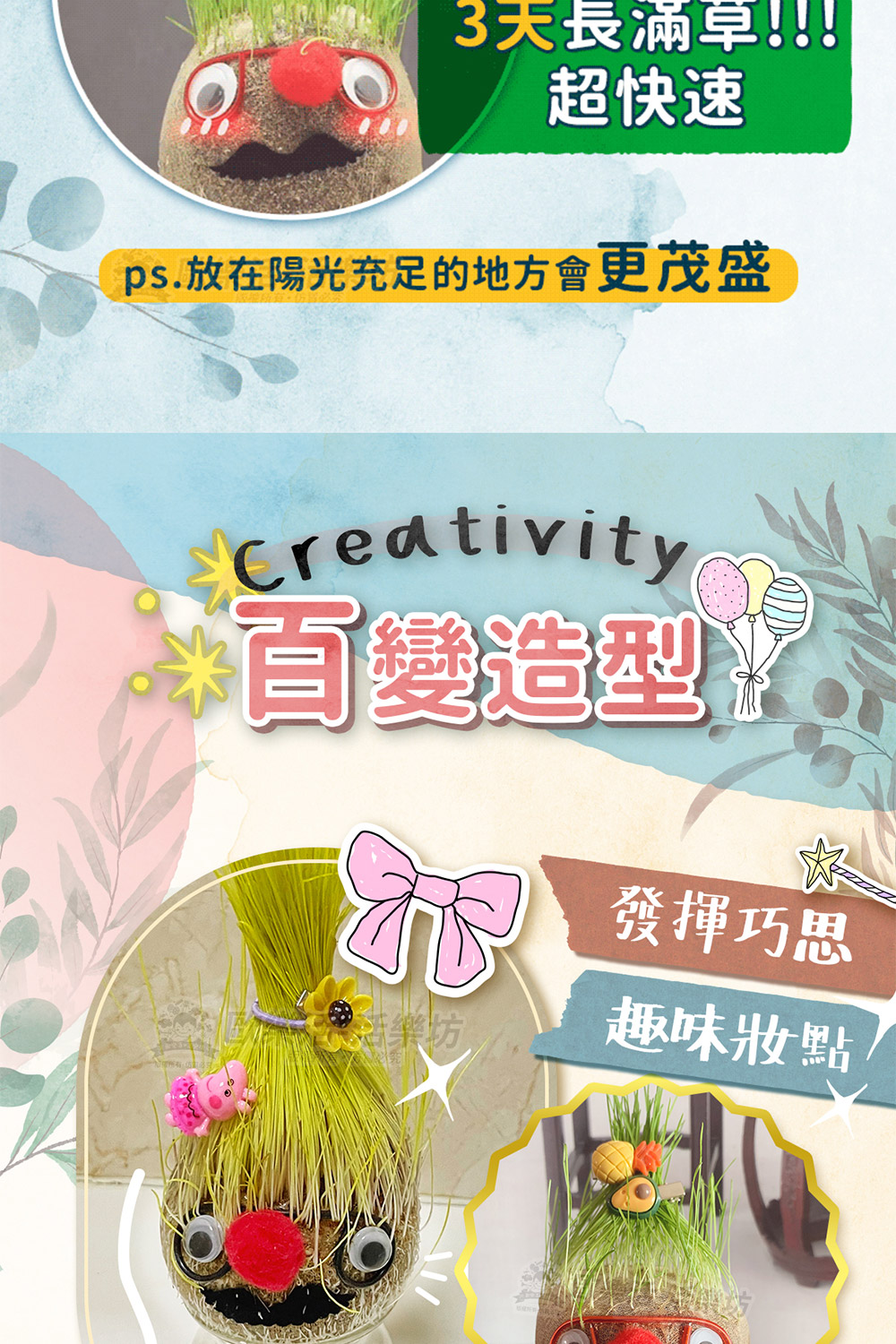 ps.放在陽光充足的地方會更茂盛