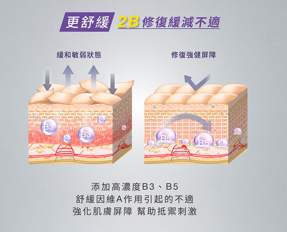 強化肌膚屏障 幫助抵禦刺激