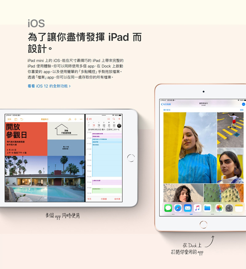 Apple蘋果 iPad mini 5 - 詳情9