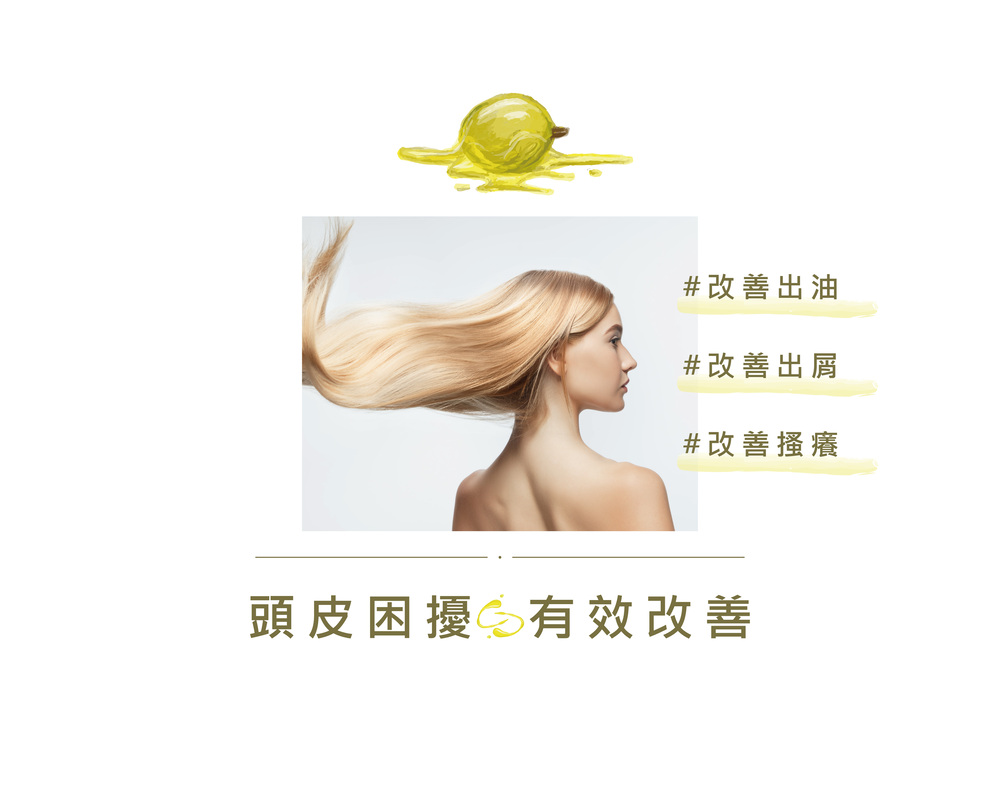改善出油 改善出屑 改善搔癢 頭皮困擾 有效改善 