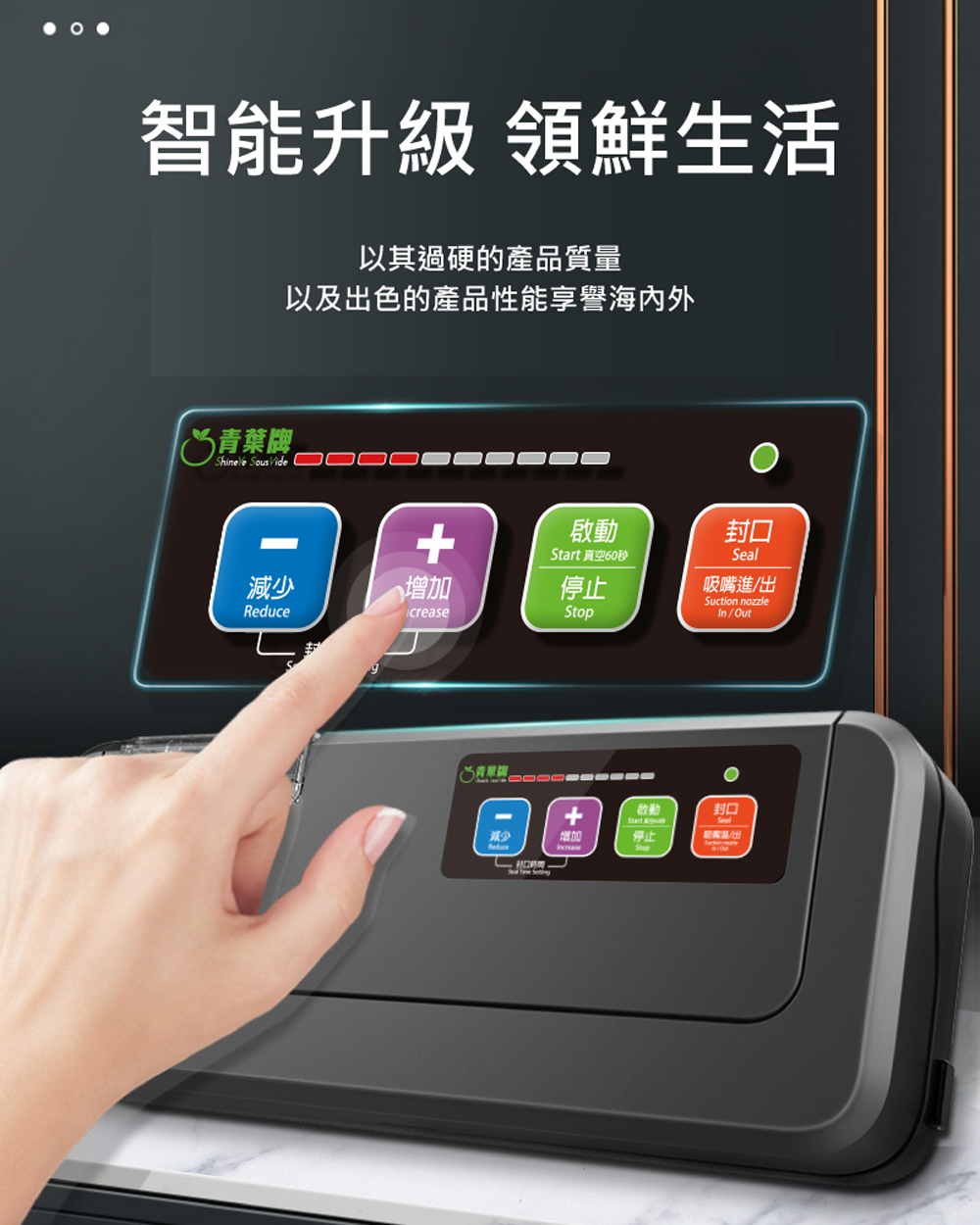 ShineYe青葉牌 P293 - 詳情13