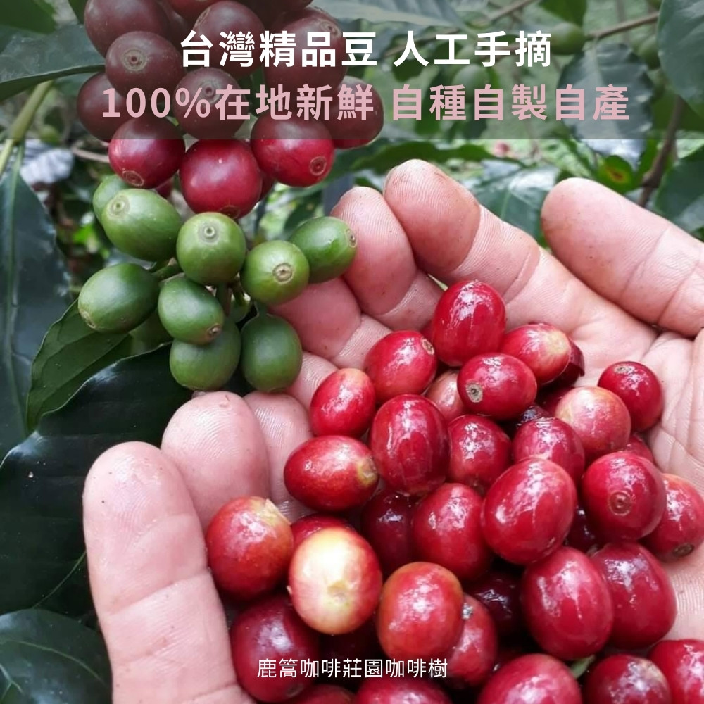 å°ç£ç²¾åè± äººå·¥ææ 100%å¨å°æ°é®® èªç¨®èªè£½èªç¢ é¹¿ç¯åå¡èååå¡æ¨¹ 