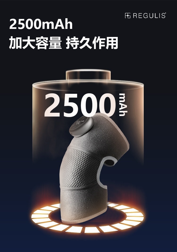 加大容量 持久作用 店 REGULIS 