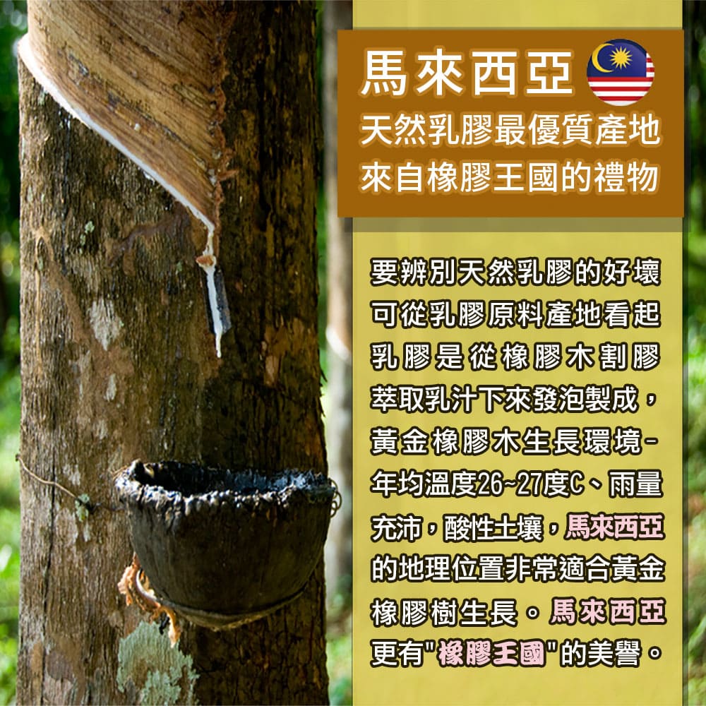 年均溫度2627度C、雨量