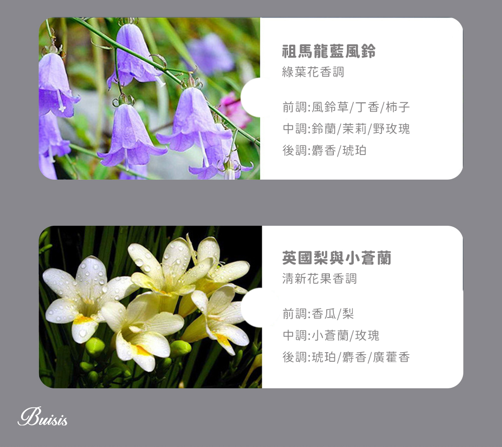 前調風鈴草丁香柿子