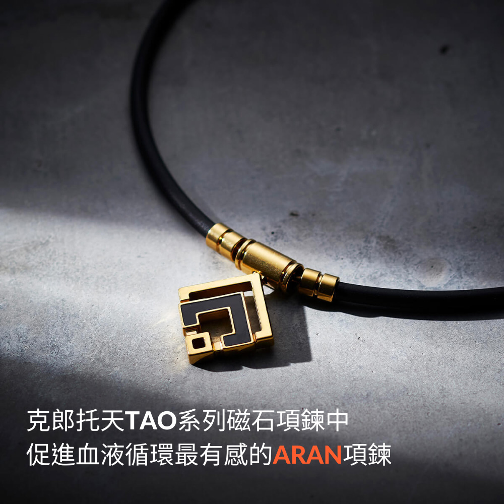 åéæå¤©TAOç³»åç£ç³é éä¸­ ä¿é²è¡æ¶²å¾ªç°æææçARANé é 