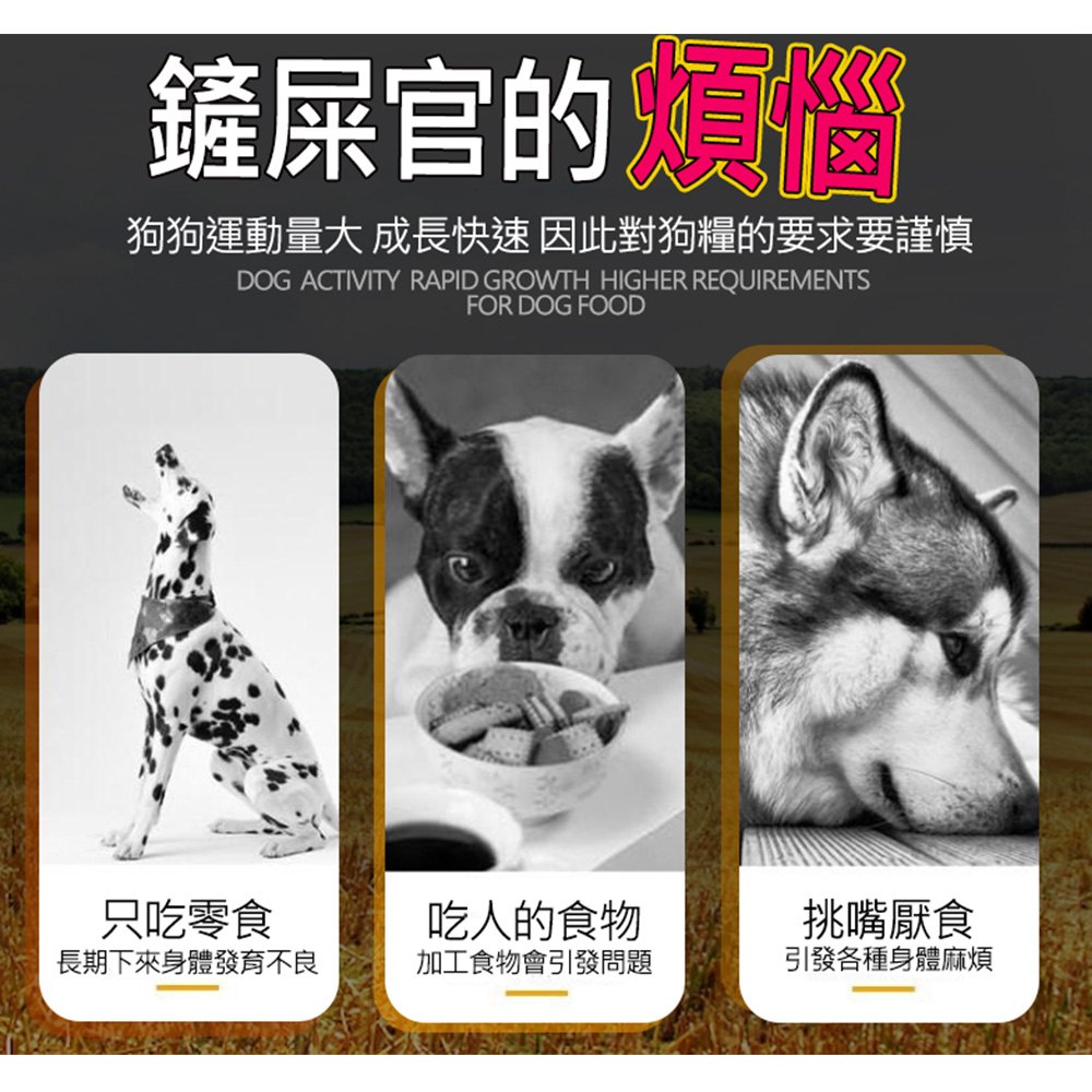 狗狗運動量大 成長快速 因此對狗糧的要求要謹慎