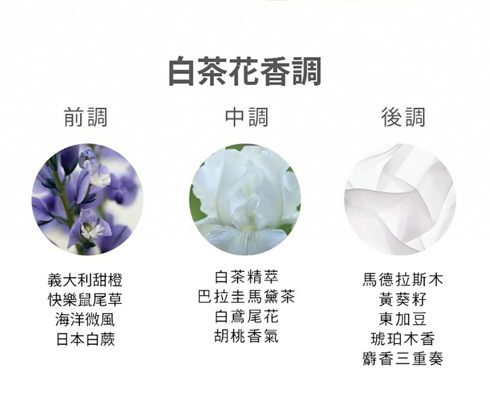 巴拉圭馬黛茶