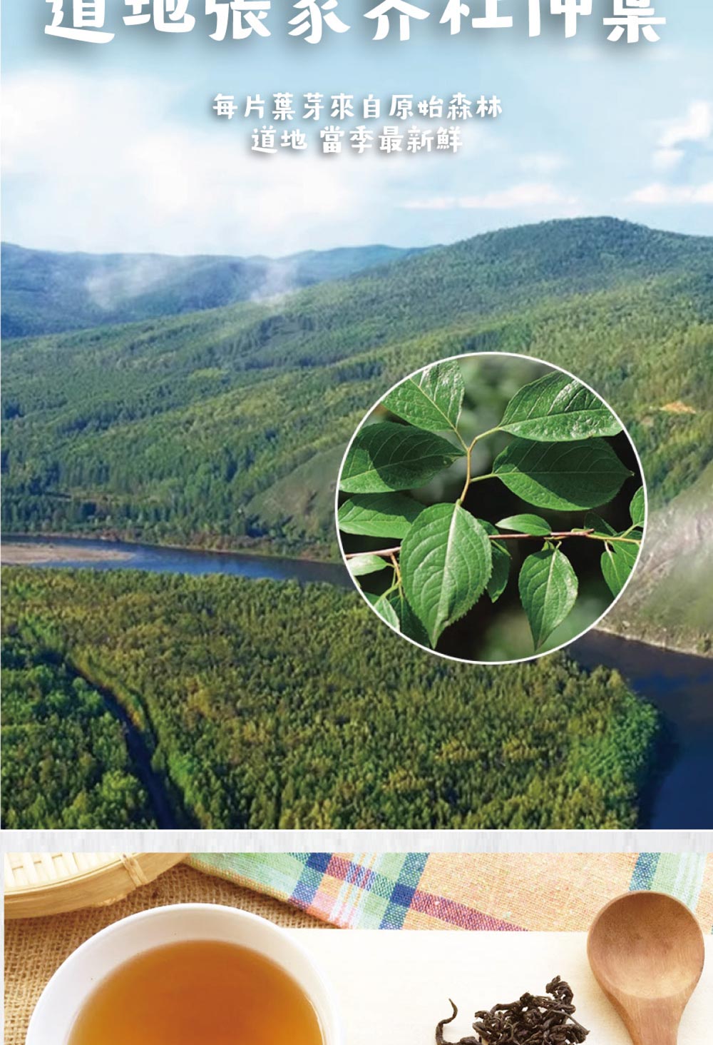 旅永介社 每片葉芽來自原始森林 道地 當季最新鮮 