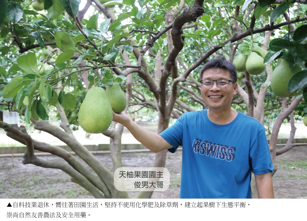 天柚果園園主 俊男大哥 自科技業退休,嚮往著田園生活,堅持不使用化學肥及除草劑,建立起果樹下生態平衡, 崇尚自然友善農法及安全用藥。 