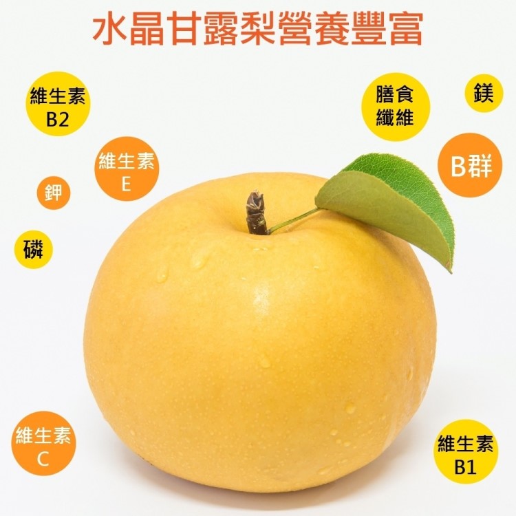 水晶甘露梨營養豐富