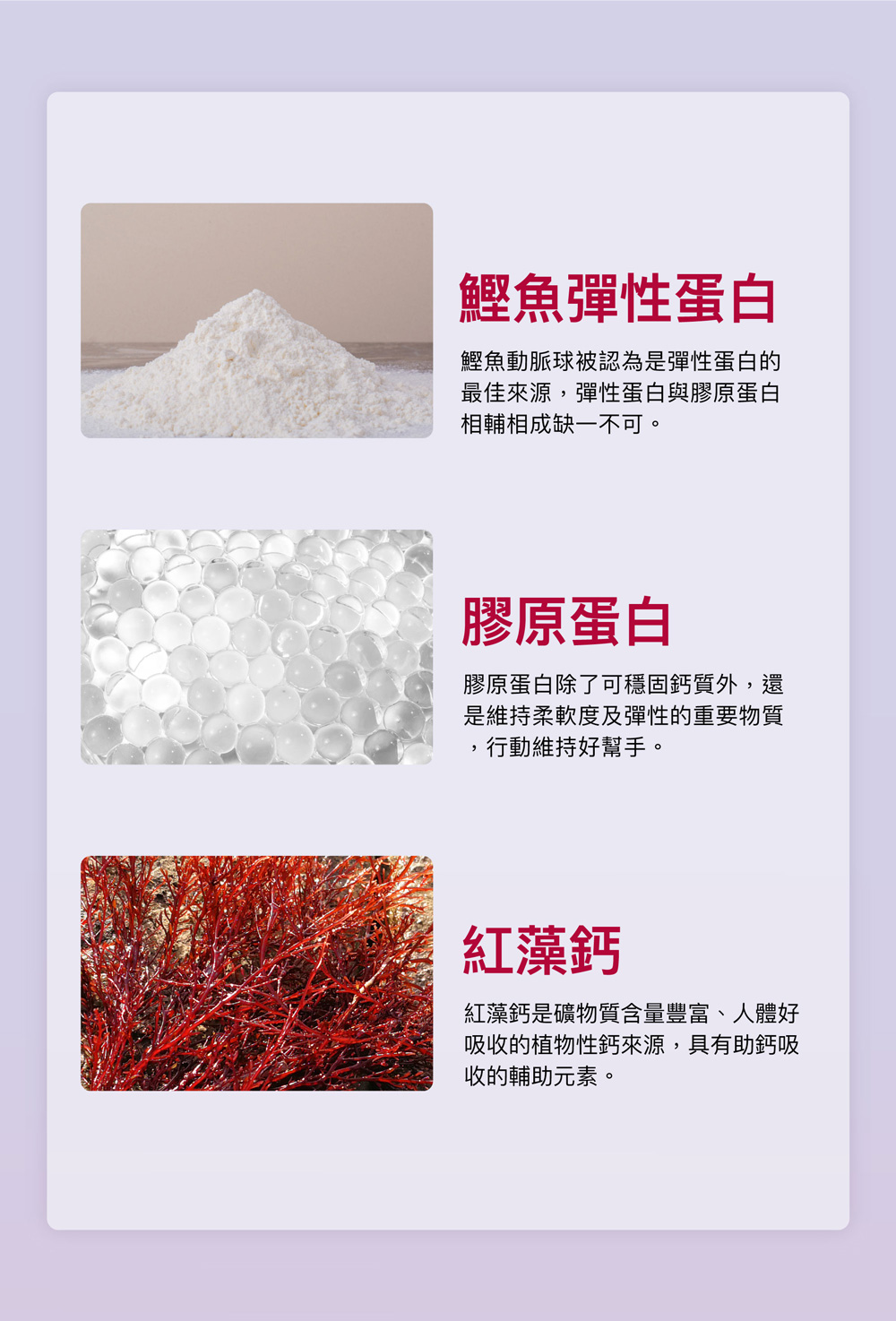 紅藻鈣是礦物質含量豐富、人體好
