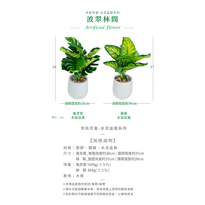 尺寸 龜背葉整體高度約38cm  展開寬度約37cm