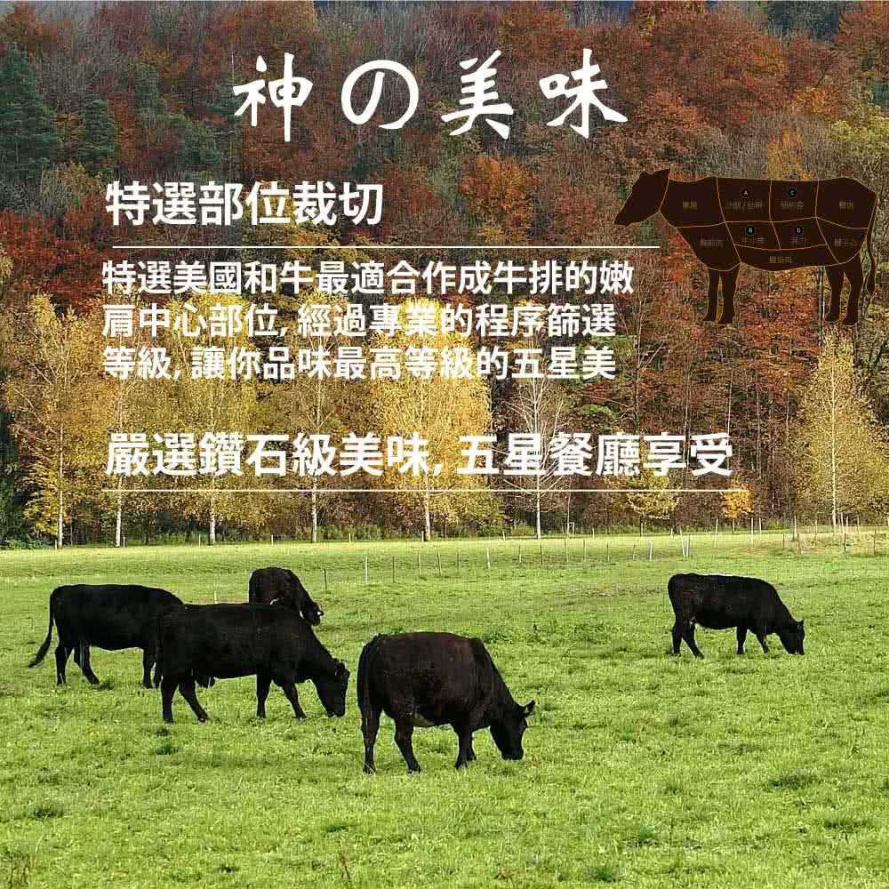 特選美國和牛最適合作成牛排的嫩