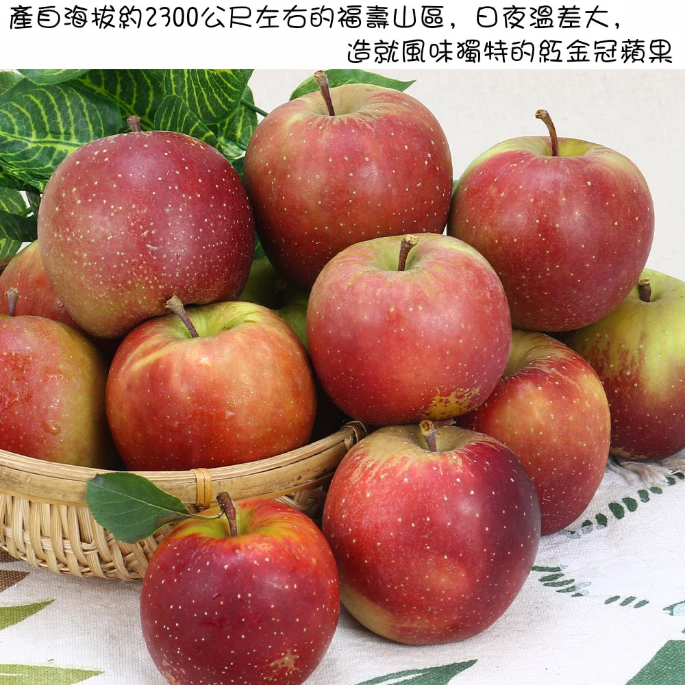 愛蜜果 大梨山區 福壽山紅金冠蘋果15顆禮盒X1盒(3斤±5