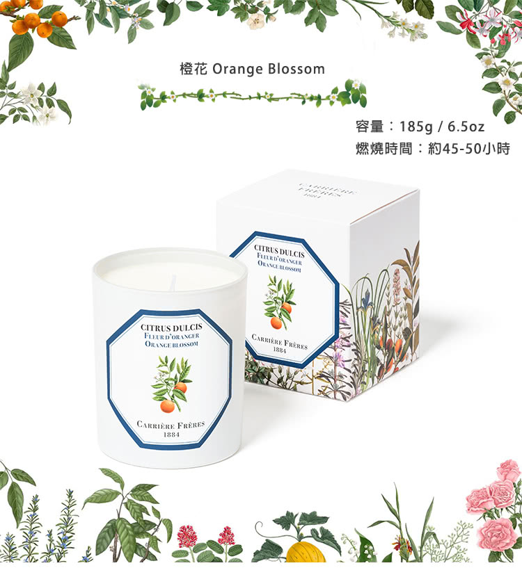 燃燒時間約4550小時 