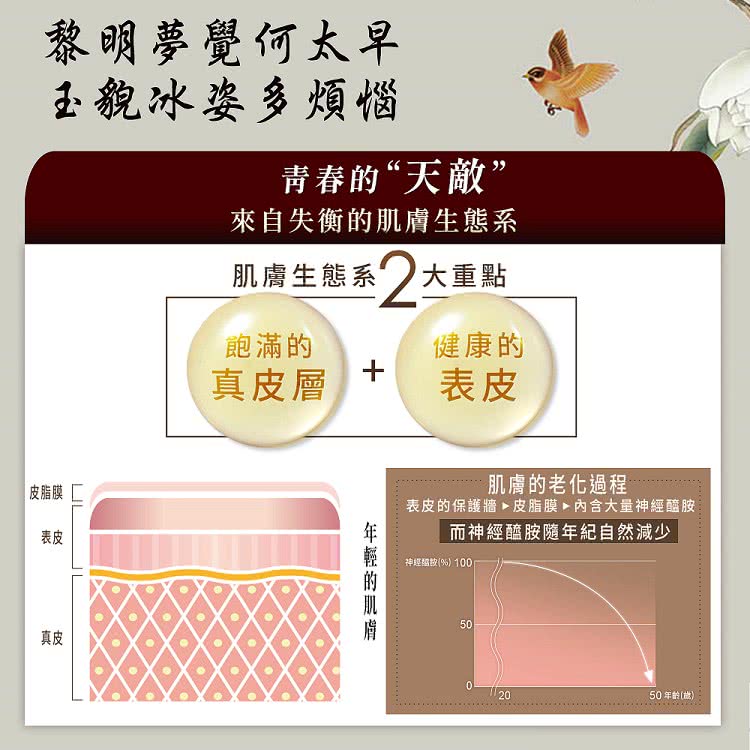 表皮的保護牆 皮脂膜 内含大量神經醯胺