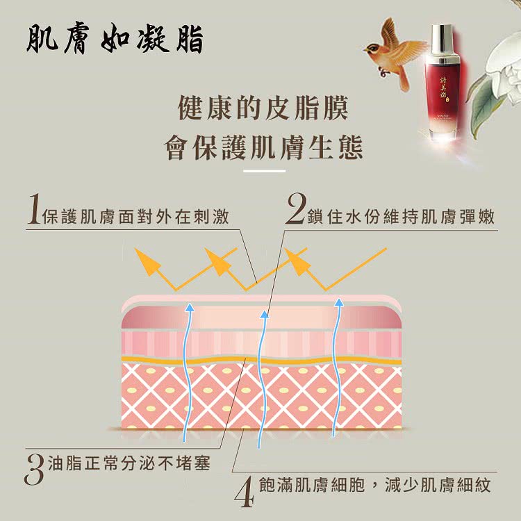 4飽滿肌膚細胞,減少肌膚細紋