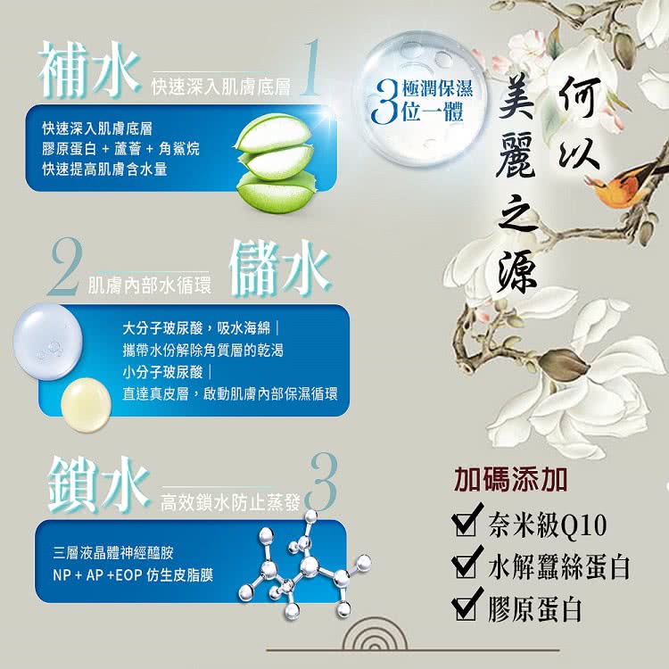 直達真皮層,啟動肌膚內部保濕循環