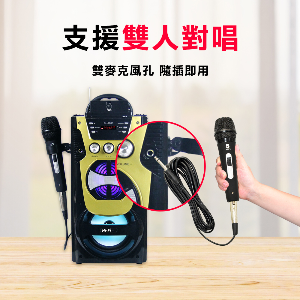 支援雙人對唱 雙麥克風孔 隨插即用 