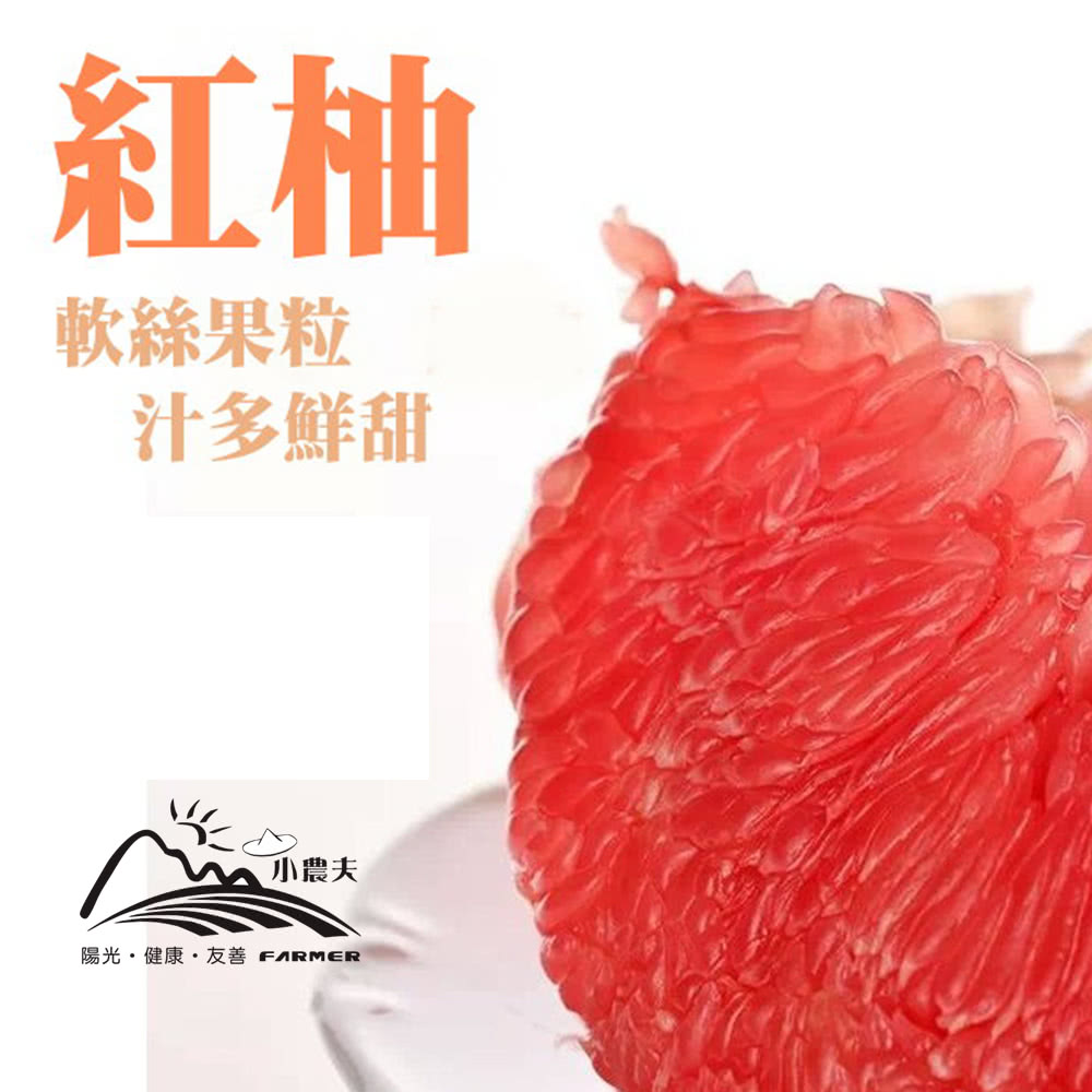 小農夫 台南麻豆正宗紅柚文旦20台斤x1箱(約10~16顆/