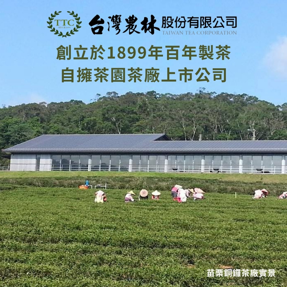 台灣農林 股份有限公司 創立於1899年百年製茶 自擁茶園茶廠上市公司 苗栗銅鑼茶廠實景 