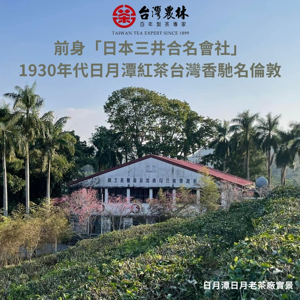 1930年代日月潭紅茶台灣香馳名倫敦