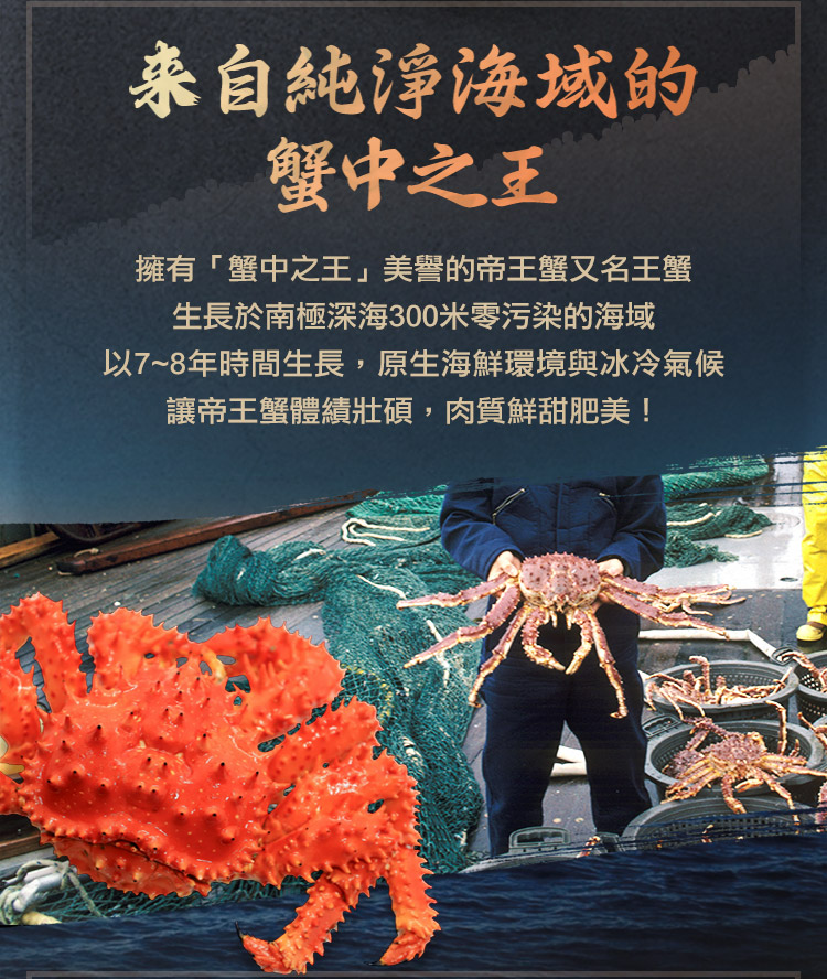 北村漁家 智利深海野生生凍帝王蟹腳500克x1包(切段)優惠