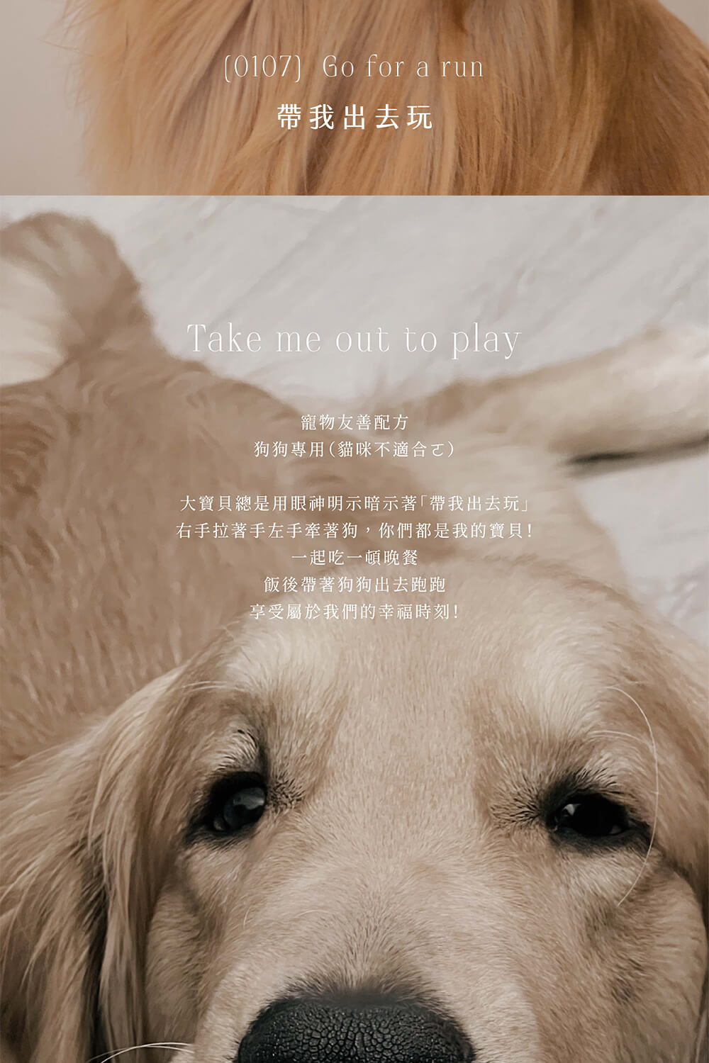右手拉著手左手牽著狗,你們都是我的寶貝