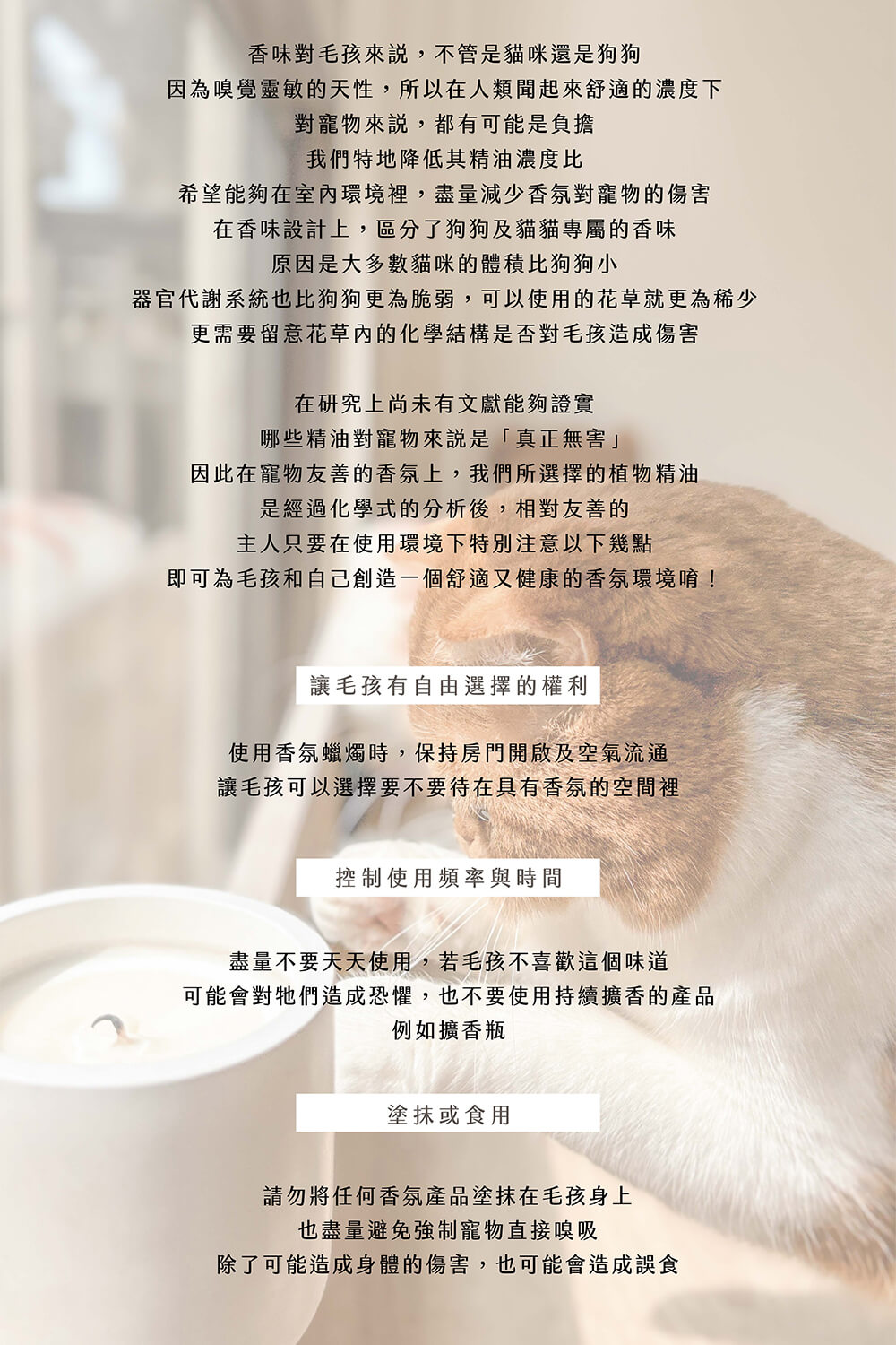 器官代謝系統也比狗狗更為脆弱,可以使用的花草就更為稀少