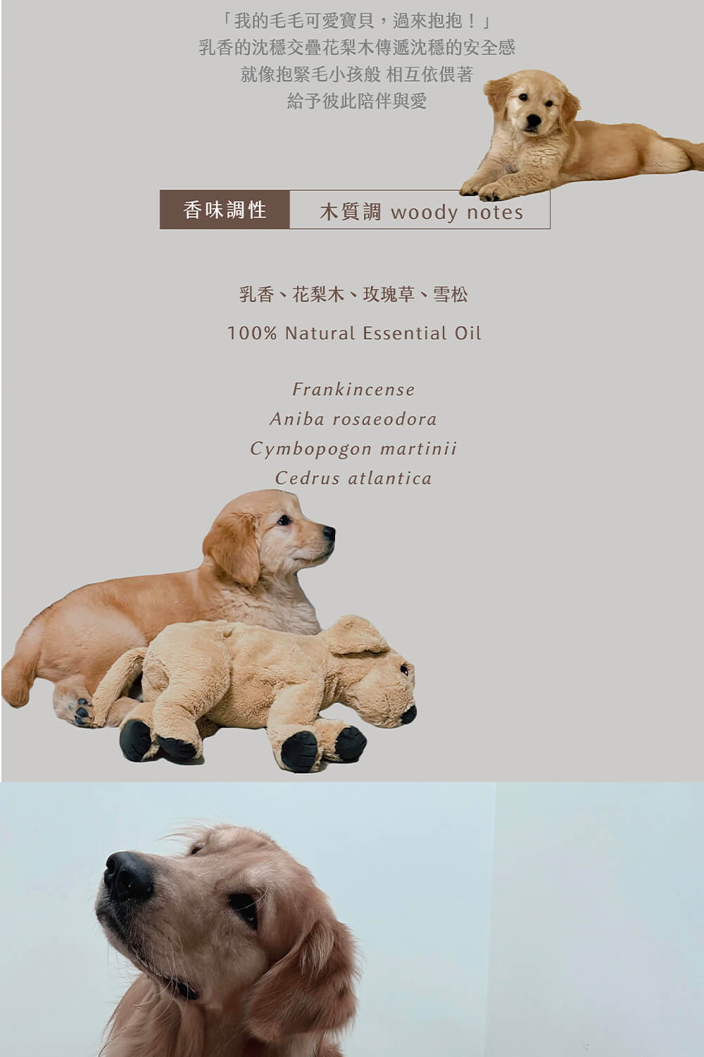 乳香的沈穩交疊花梨木傳遞沈穩的安全感
