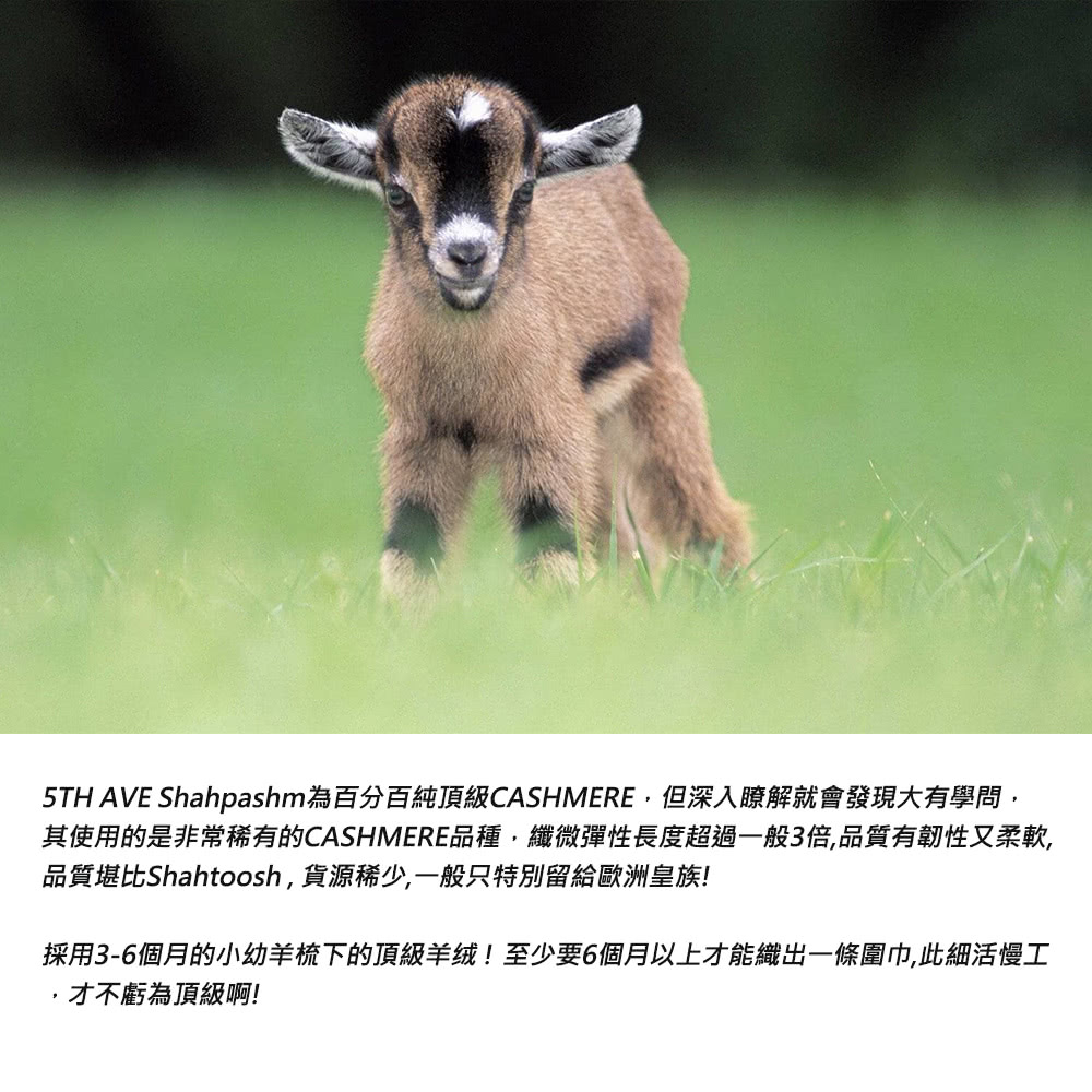 5TH AVE Shahpashm為百分百純頂級CASHMERE,但深入瞭解就會發現大有學問, 其使用的是非常稀有的CASHMERE品種,纖微彈性長度超過一般3倍,品質有韌性又柔軟, 品質堪比Shahtoosh,貨源稀少,一般只特別留給歐洲皇族 採用36個月的小幼羊梳下的頂級羊绒至少要6個月以上才能織出一條圍巾,此細活慢工 ,才不虧為頂級啊 