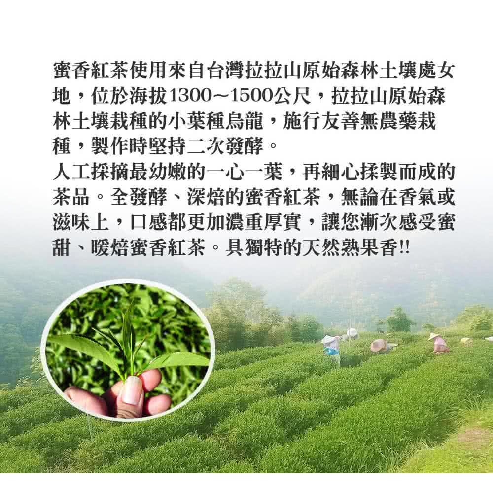 iTQi 定迎 蜜香紅茶粉 200g(外交部指定專用國禮茶 