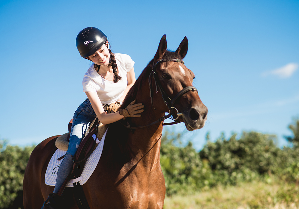 綠野馬術 綠野馬術輕奢體驗(馬術／騎馬／體驗／動物／戶外)優