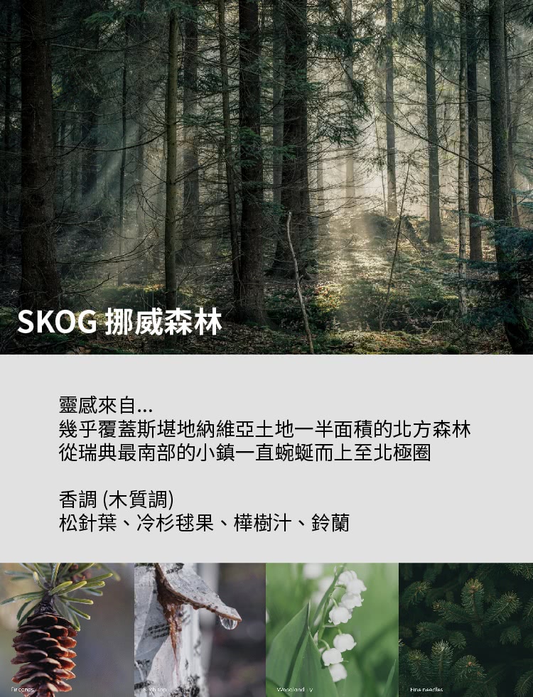 å¹¾ä¹è¦èæ¯å ªå°ç´ç¶­äºåå°ä¸åé¢ç©çåæ¹æ£®æ