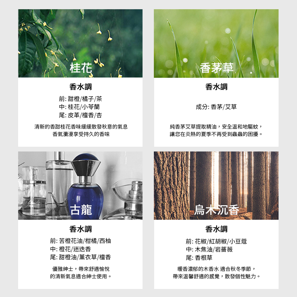 清新的香甜桂花香味緩緩散發秋意的氣息