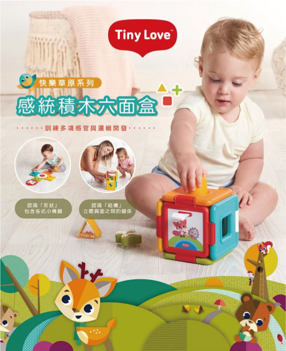 Tiny Love 感統積木六面盒-快樂草原(感統玩具/積木