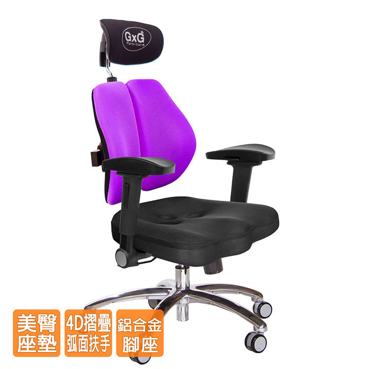 GXG 吉加吉 兩軸枕 鋁腳/4D弧面摺疊扶手 雙背美臀椅(