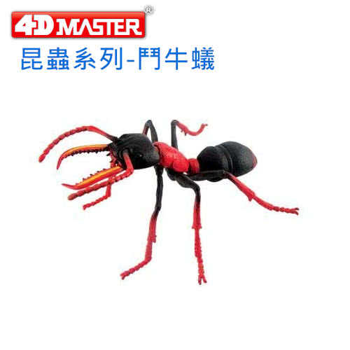 4D MASTER 昆蟲系列-寮國黑鍬形蟲(26592/20