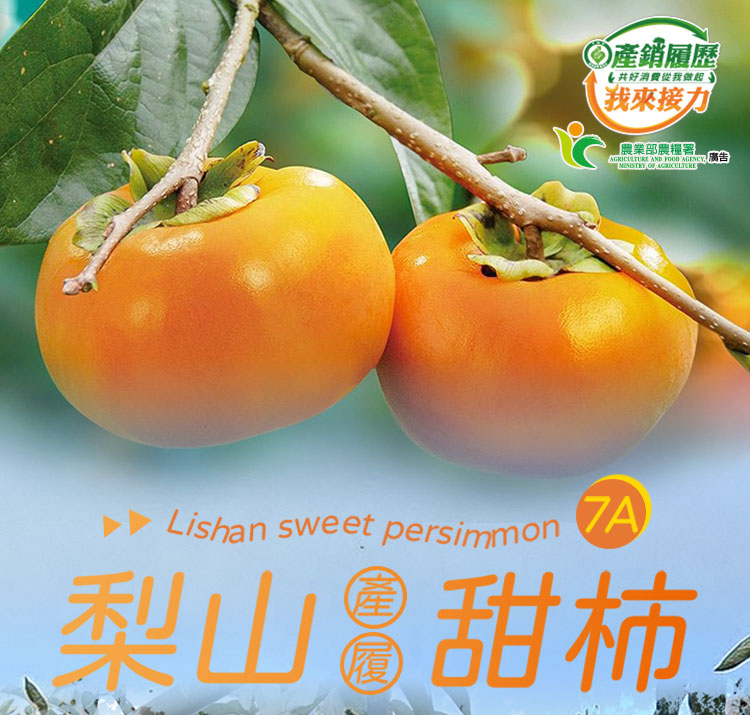 享吃鮮果 7A梨山甜柿3箱(4顆/900g±10%/箱 禮盒