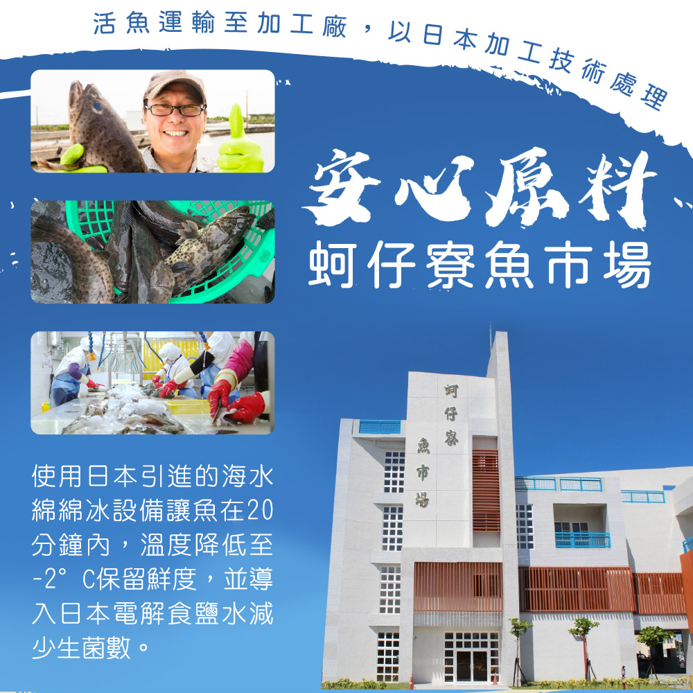 活魚運輸至加工廠,以日本加工技術處理
