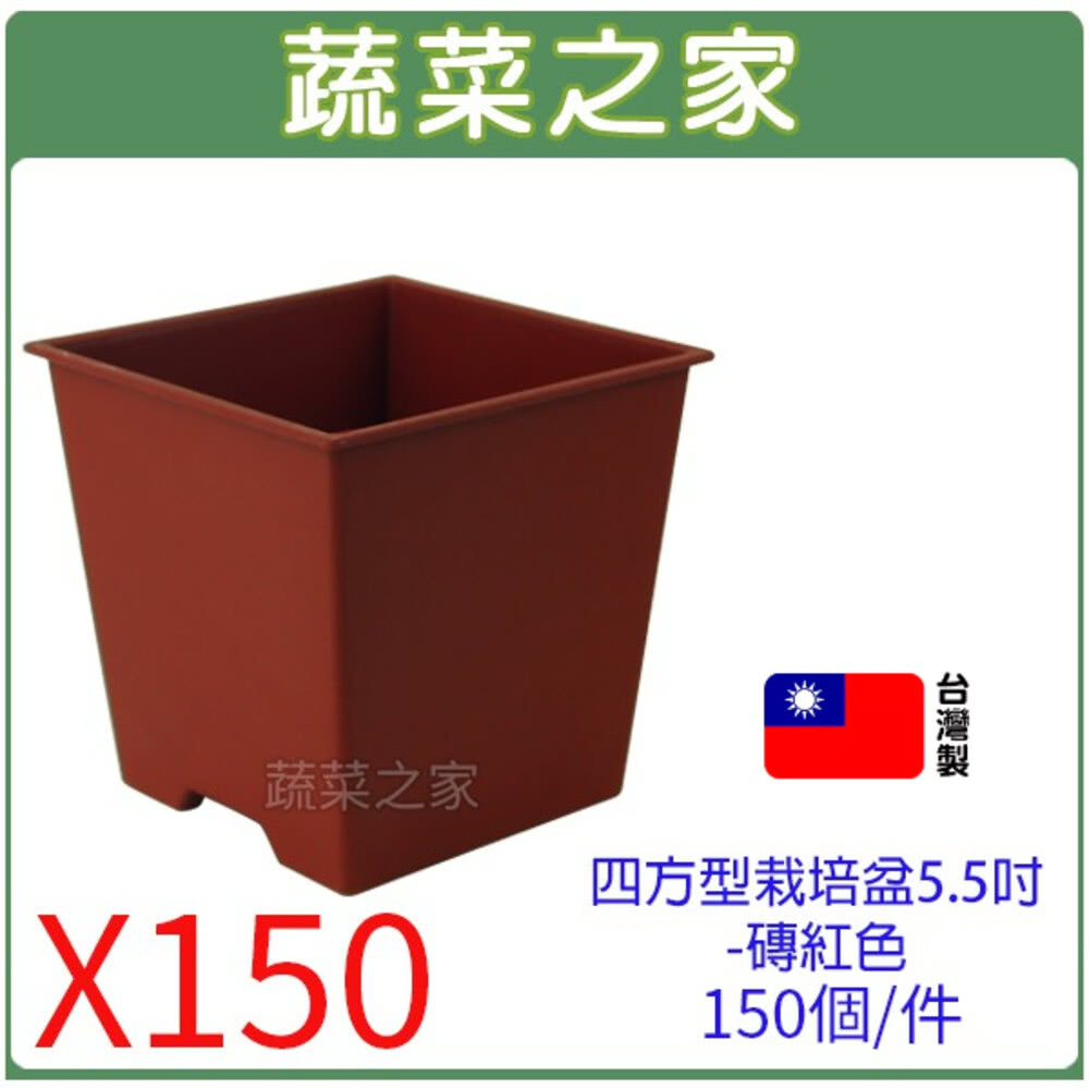 蔬菜之家 四方型栽培盆5.5吋-磚紅色厚150個件(塑膠花盆
