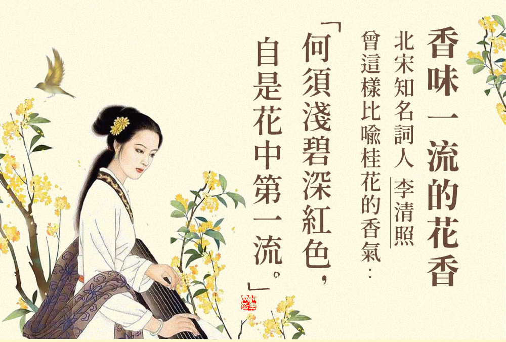 é¦å³ä¸æµçè±é¦ åå®ç¥åè©äºº ææ¸ç§ æ¾éæ¨£æ¯å»æ¡è±çé¦æ°£ ä½é æ·ºç¢§æ·±ç´è², èªæ¯è±ä¸­ç¬¬ä¸æµ 