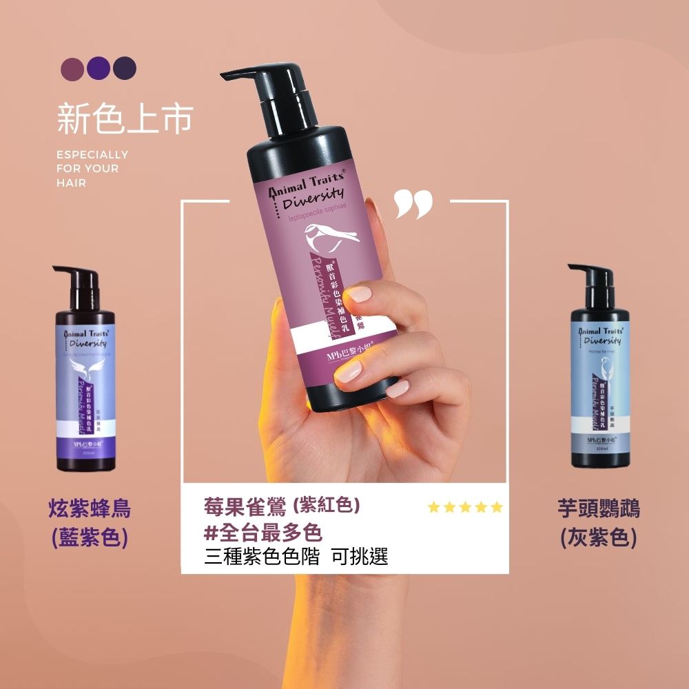 三種紫色色階 可挑選