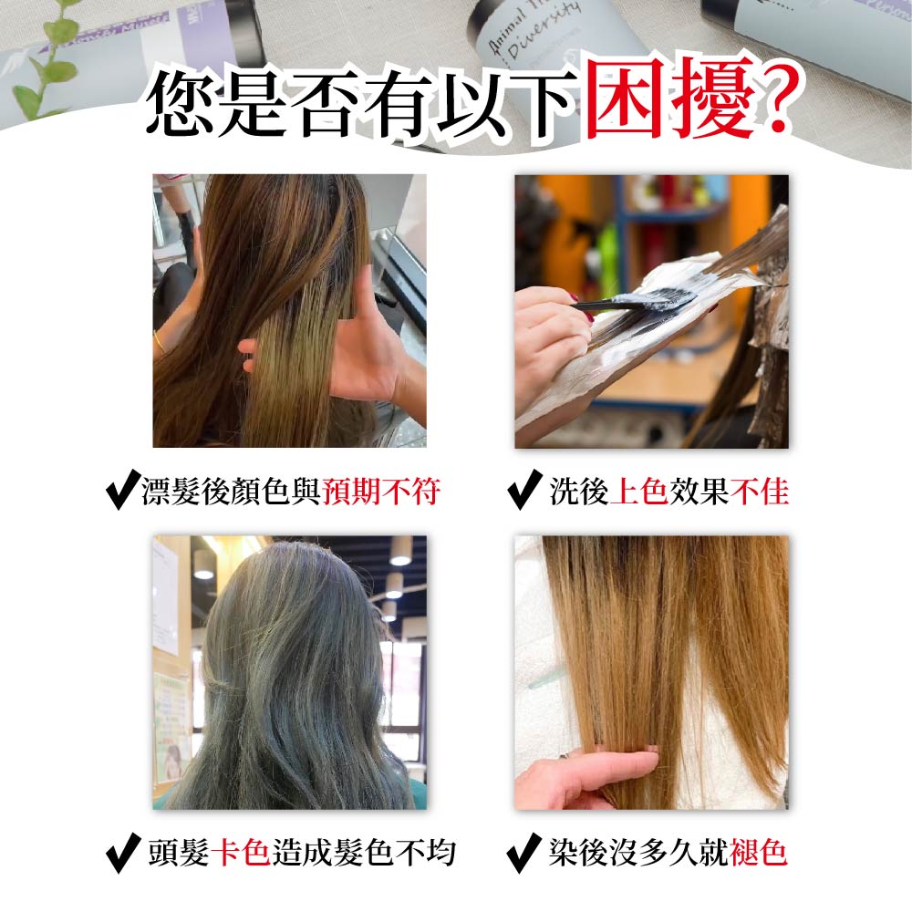 您是否有以下困擾 漂髮後顏色與預期不符 洗後上色效果不佳 頭髮卡色造成髮色不均 染後沒多久就褪色 