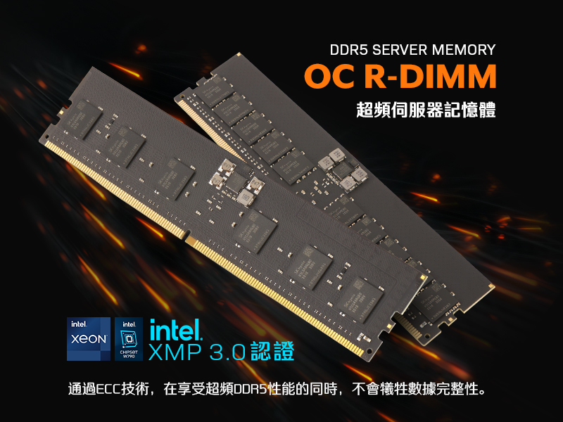 v-color 全何 DDR5 ECC R-DIMM 560