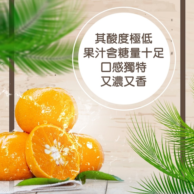 WANG 蔬果 澳洲砂糖橘3斤x4箱(3斤/箱) 推薦
