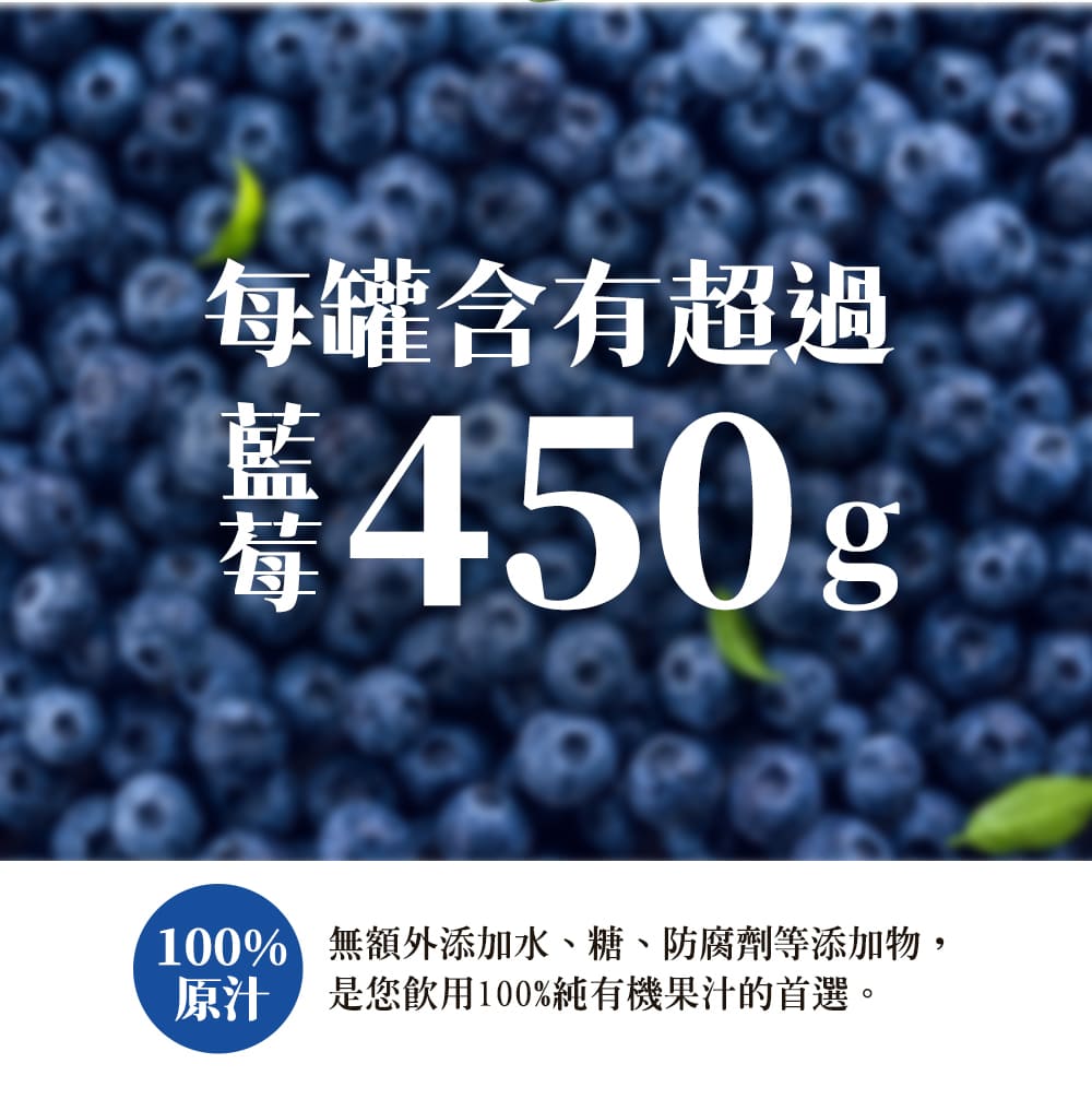有機思維 有機藍莓原汁(350mlX2入)好評推薦